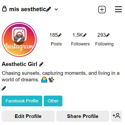 200+ NEW Aesthetic Bio for Instagram Profile (Copy, Paste)