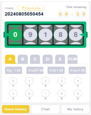 How to Play Online 5D Lottery: Playing and Winning at in999