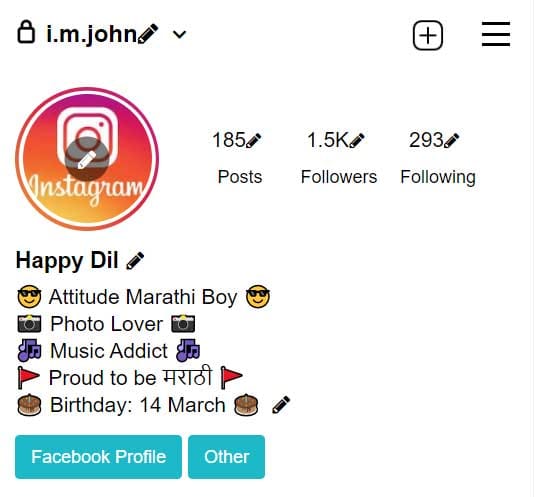 Instagram Bio for Marathi Boys