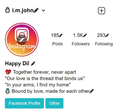 Instagram Bio for Married Couple in Stylish Font