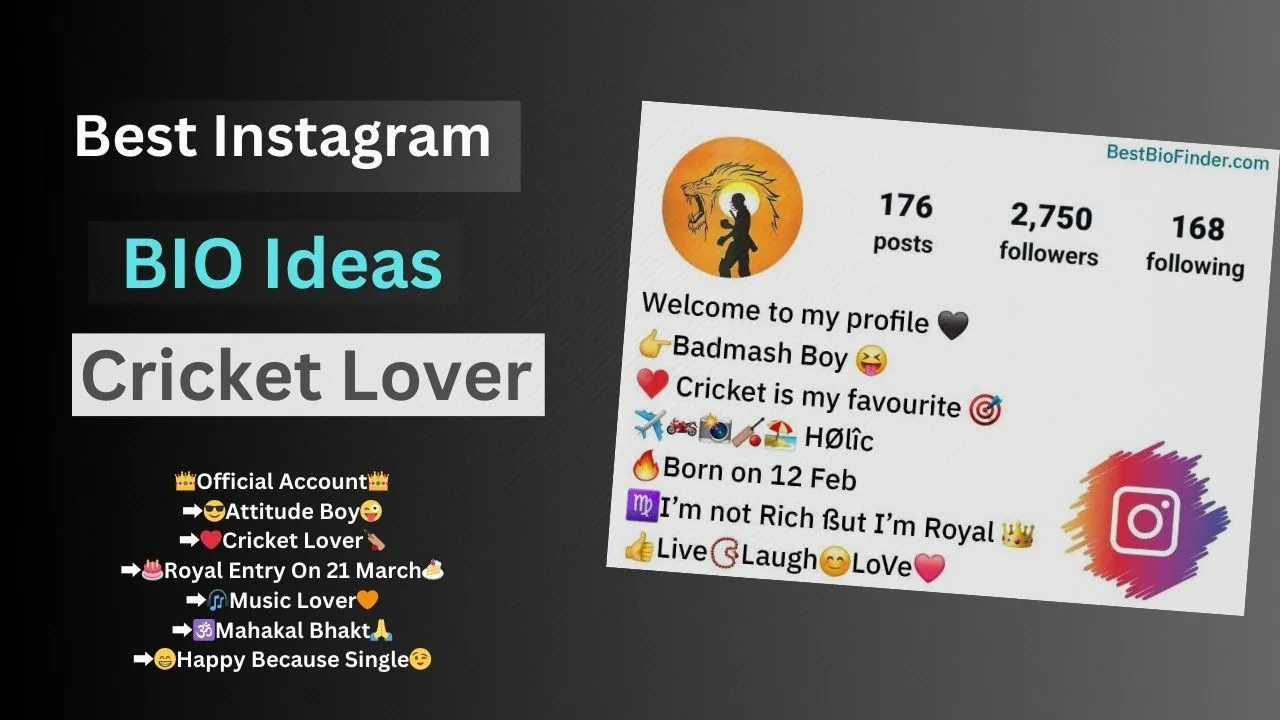 Best Cricket Bio Ideas For Instagram