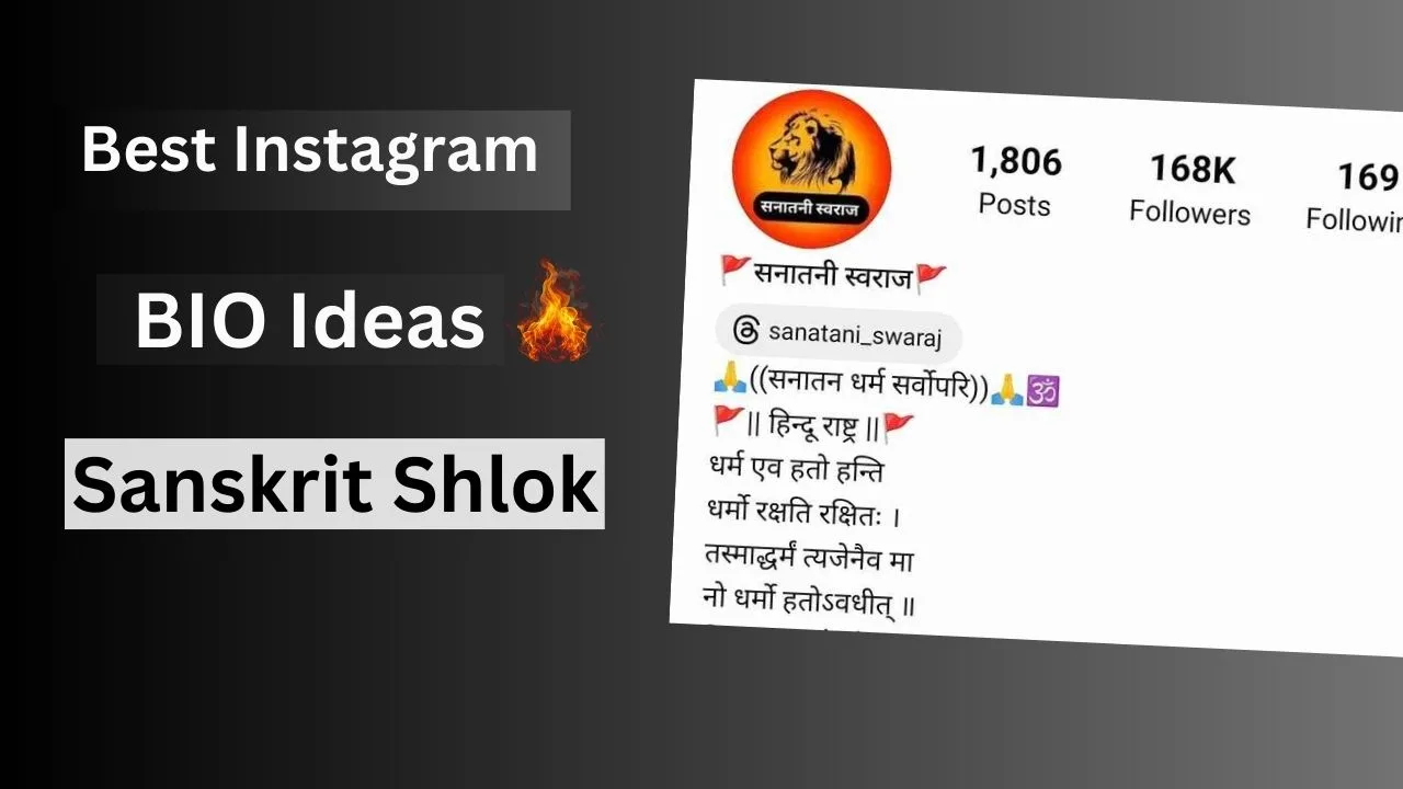 Sanskrit Shlok For Instagram Bio Idea
